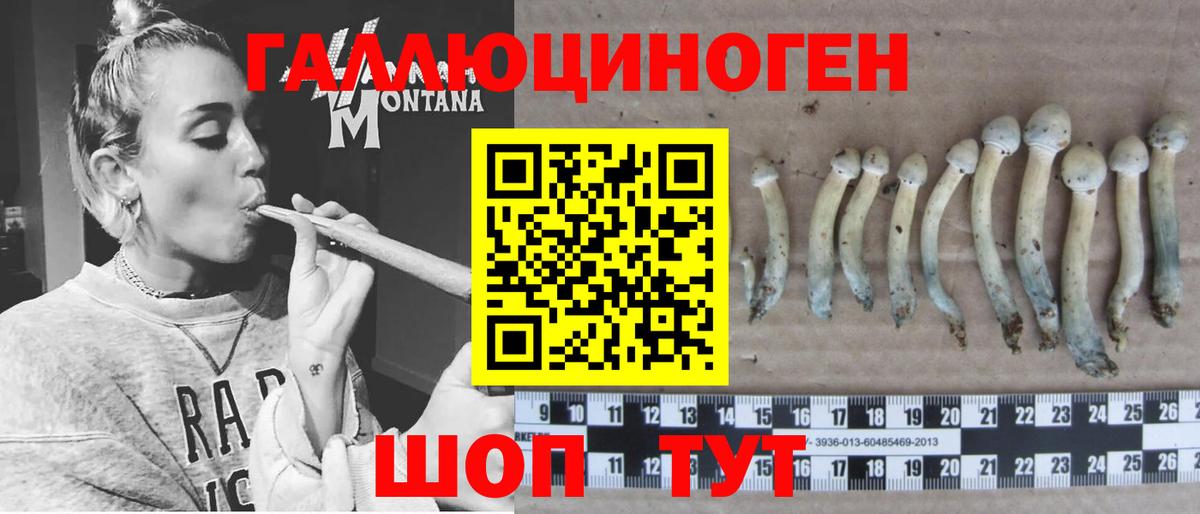 Псилоцибиновые грибы мухоморы  Галлюциногенные грибы ЛСД  Ртищево  Вход с VPN 